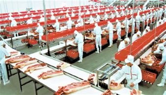中国规模最大肉制品公司 它一年卖出400万吨,旗下员工达12万人